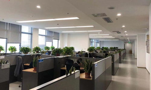 江蘇省電子信息產品質量監(jiān)督檢驗研究院與信息安全測評中心 專業(yè)信息咨詢服務解析